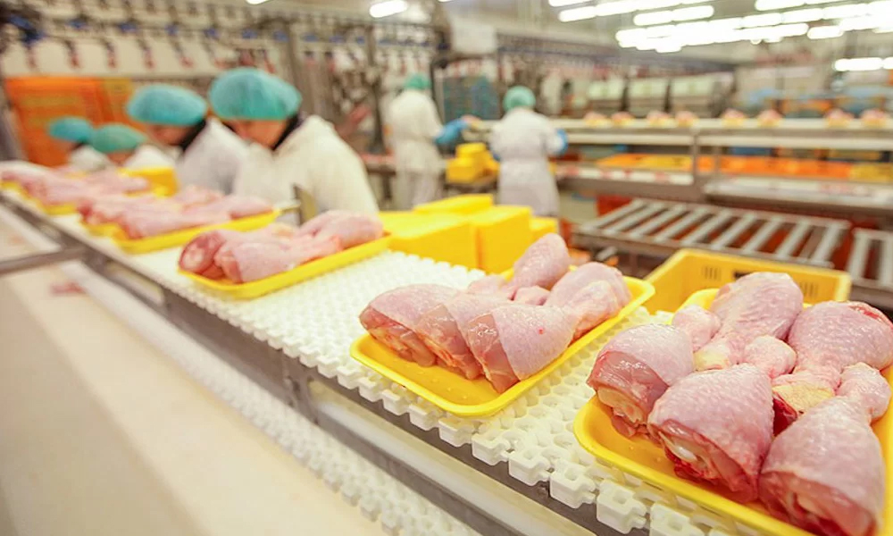 Обробка та пакування м`ясної продукції